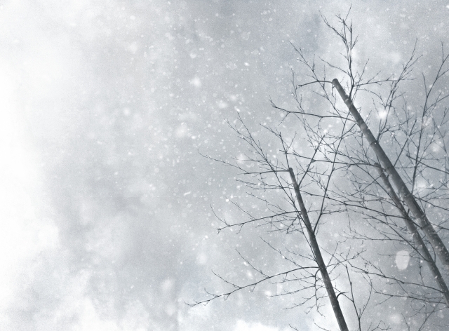 winter_201203
