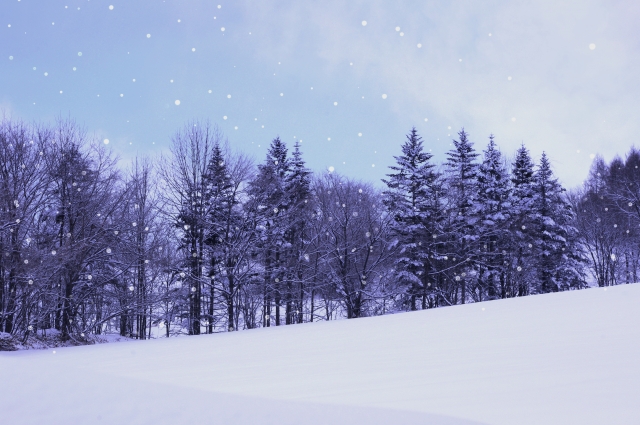 winter_221215