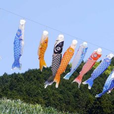 ゴールデンウィーク期間中の対応と休業のお知らせ ゴールデンウィーク期間中の対応と休業のお知らせ